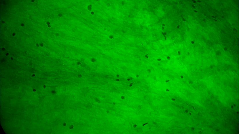 微信圖片_20250711151225.png 微信圖片_20250711151225.png