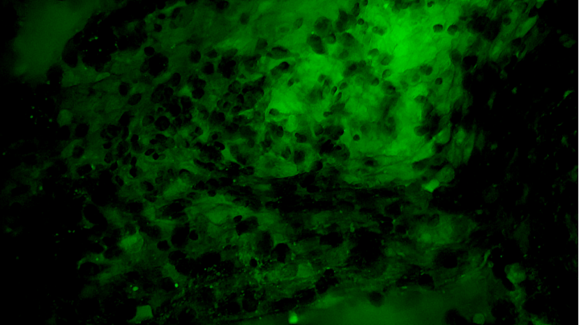 微信圖片_20250711151222.png 微信圖片_20250711151222.png