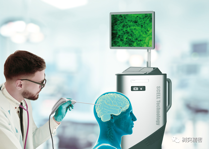 合肥高新區(qū)與樹(shù)突精密簽署合作協(xié)議(圖4)