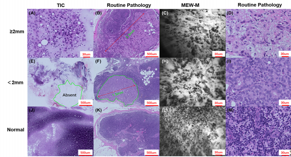 圖片8.png 圖片8.png