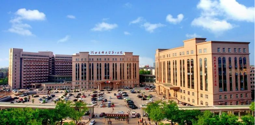 膠質(zhì)母細(xì)胞瘤手術(shù)新突破:河北醫(yī)大二院應(yīng)用EndoSCell?實(shí)現(xiàn)細(xì)胞級精準(zhǔn)切除(圖8)