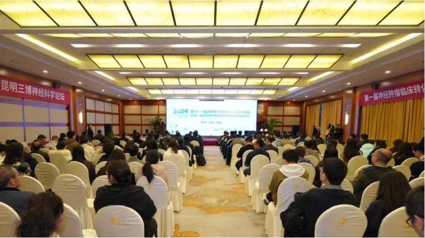 昆明神經(jīng)腫瘤論壇:EndoSCell?細(xì)胞級熒光導(dǎo)引技術(shù)開啟精準(zhǔn)手術(shù)新時代(圖2)