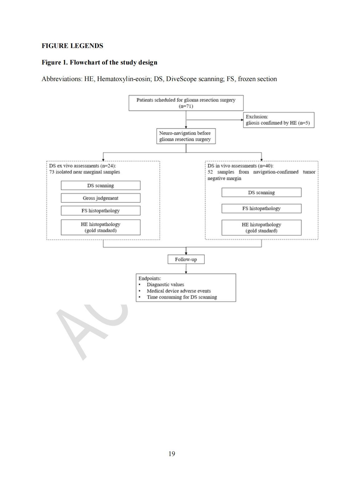 Roving histological imaging for navigation-confirmed glioma negative margin by handheld endomicroscopy: a parallel controlled study(圖19)