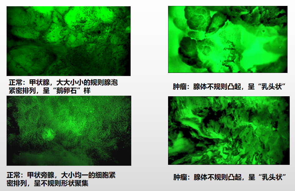 微信圖片_20250521142452.png 微信圖片_20250521142452.png