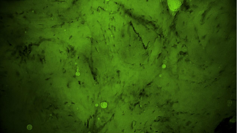 微信圖片_20250521140849.png 微信圖片_20250521140849.png