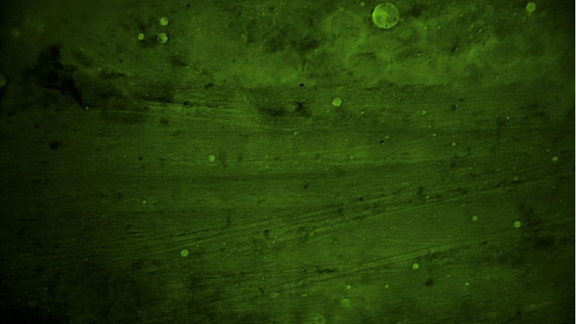 微信圖片_20250521140846.png 微信圖片_20250521140846.png